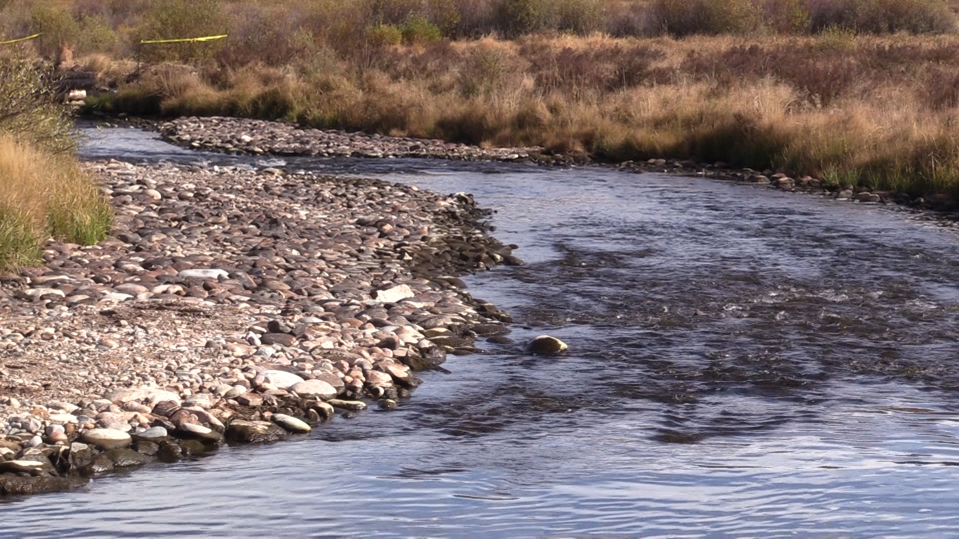 在低流量期间安装了50个摇杆杆向河流中的河流进入河流中间。